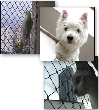 Rede de Prote��o para Animais de Estima��o