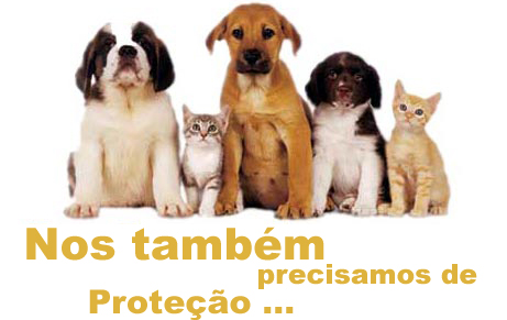 Rede para animais.